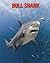 Bull Shark: Beautiful Pictu...