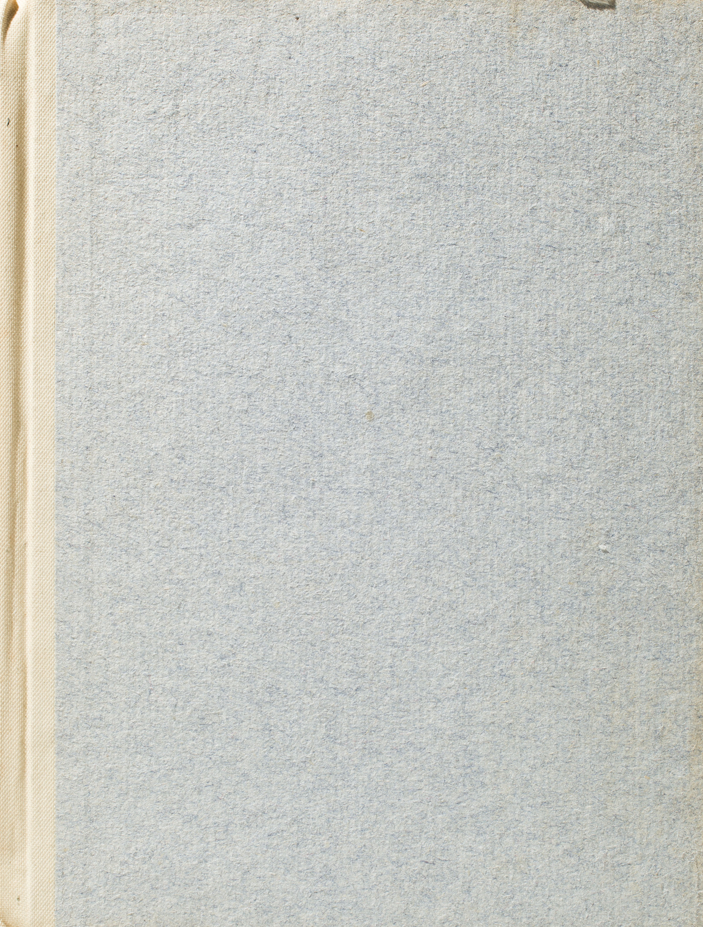 The Tale of Beatrice (Dutch Library, #4)