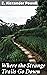 Where the Strange Trails Go Down: Sulu, Borneo, Celebes, Bali, Java, Sumatra, Straits Settlements, Malay States, Siam, Cambodia, Annam, Cochin-China