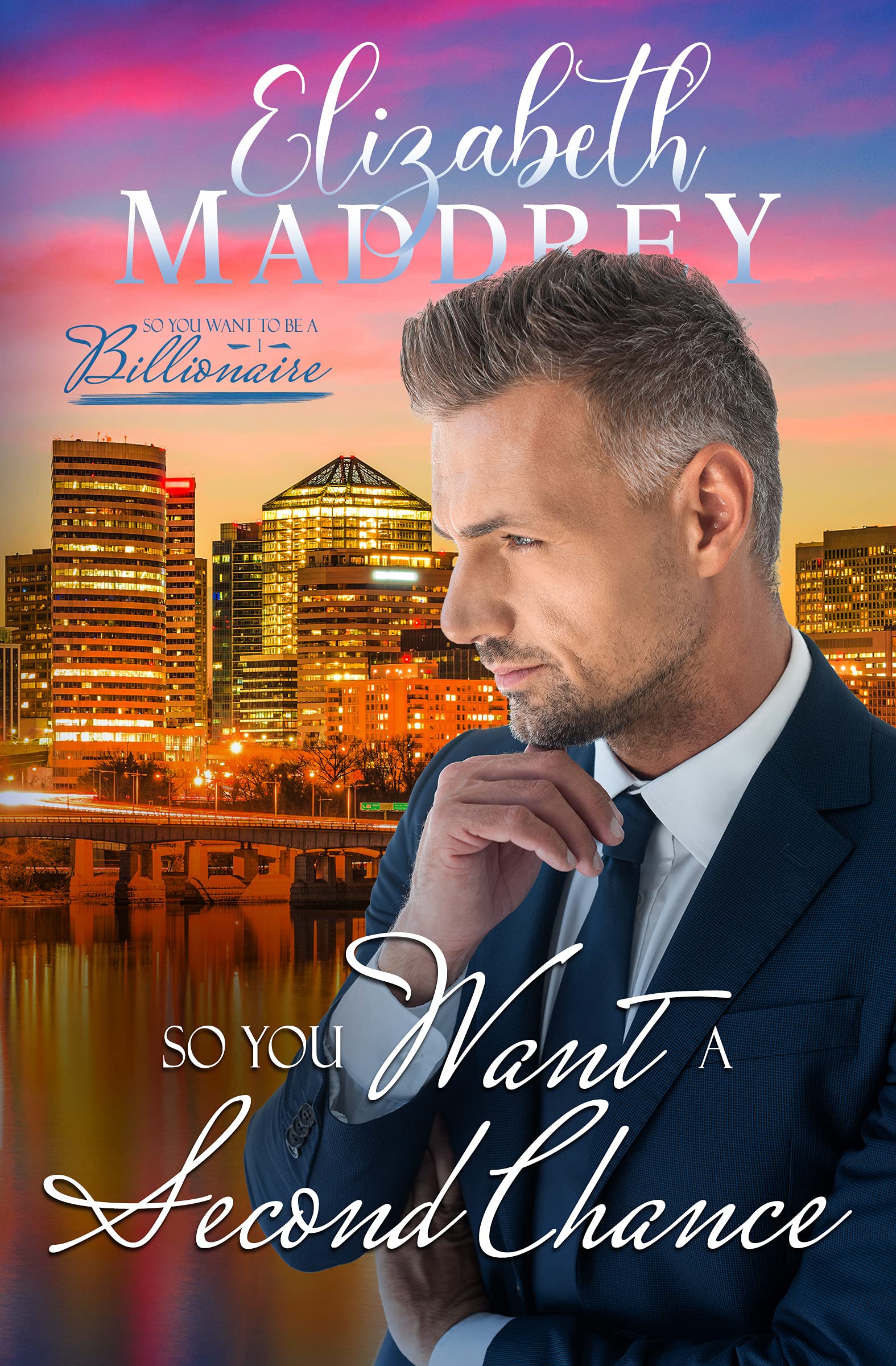 So You Want a Second Chance  (So You Want to be a Billionaire #1)