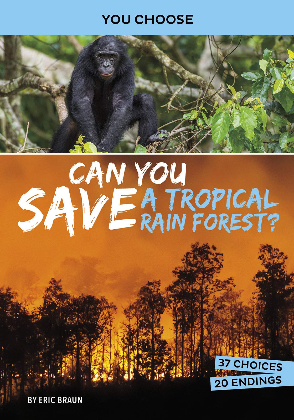 Can You Save a Tropical Rain Forest?: An Interactive Eco Adventure (You Choose: Eco Expeditions)