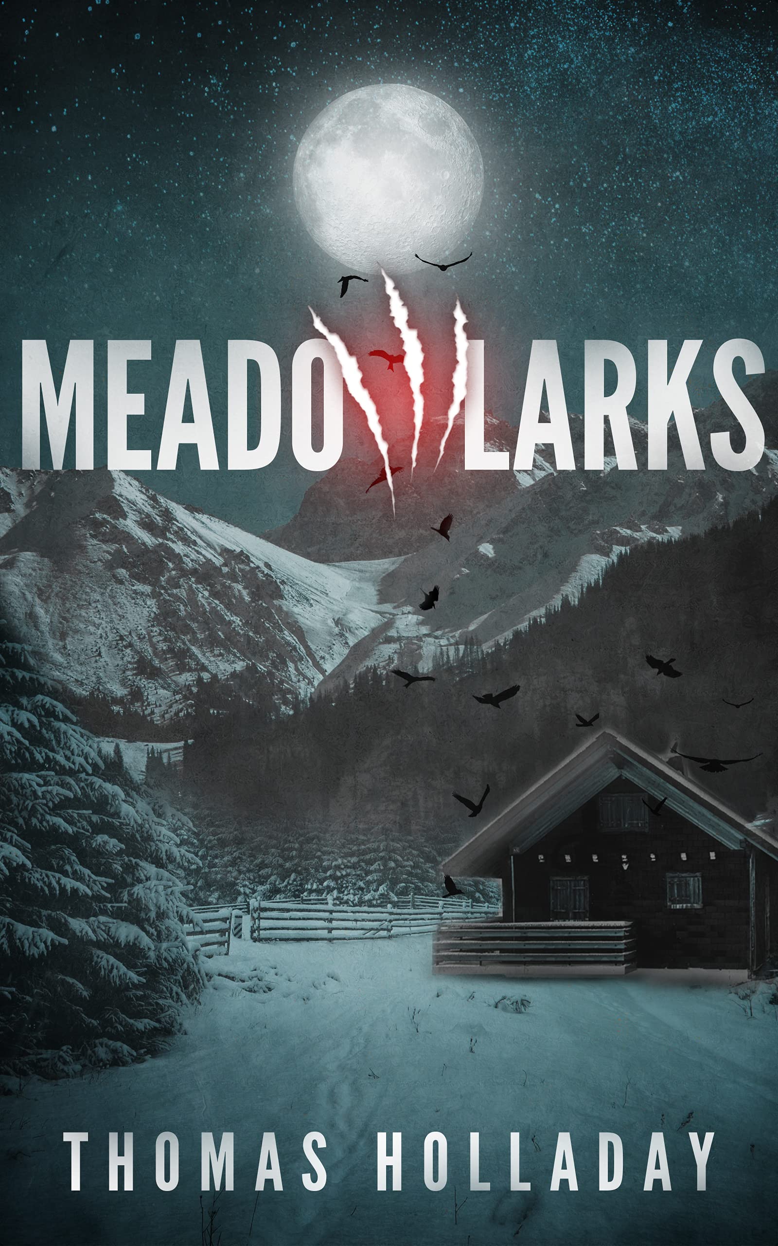 Meadowlarks (Kindle Edition)