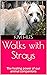 Walks with Strays: The heal...