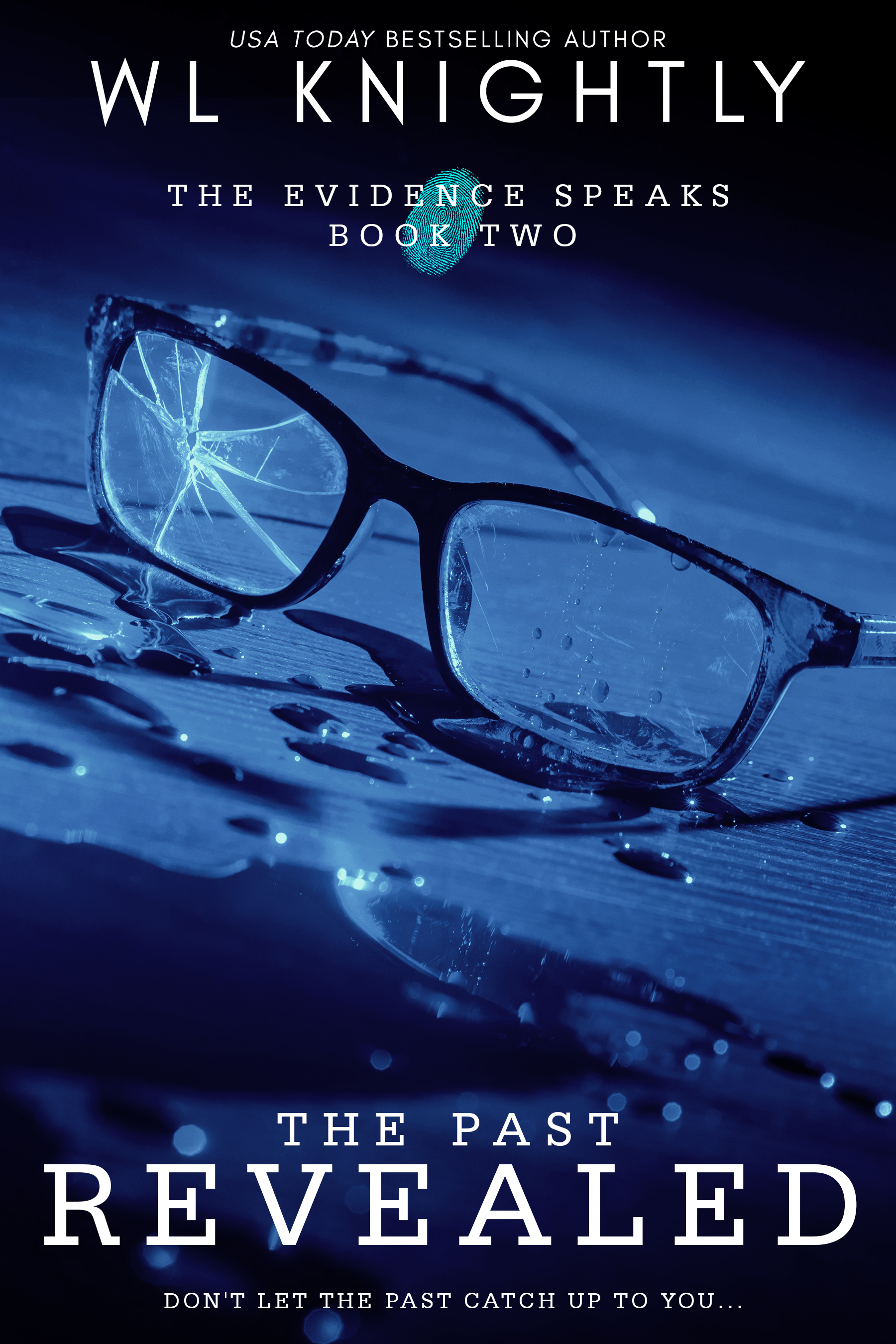 The Past Revealed (The Evidence Speaks #2)