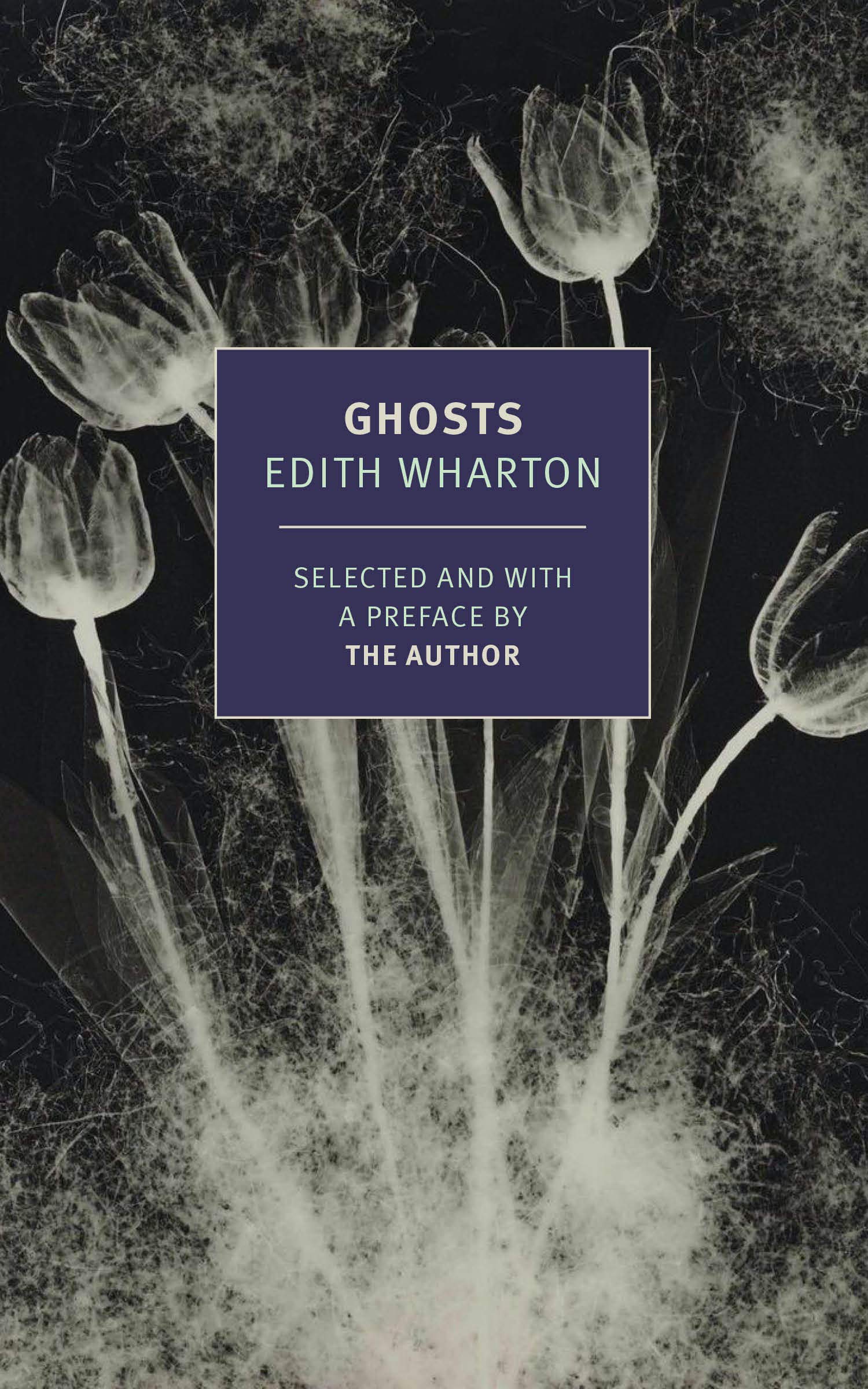 Ghosts (Paperback)