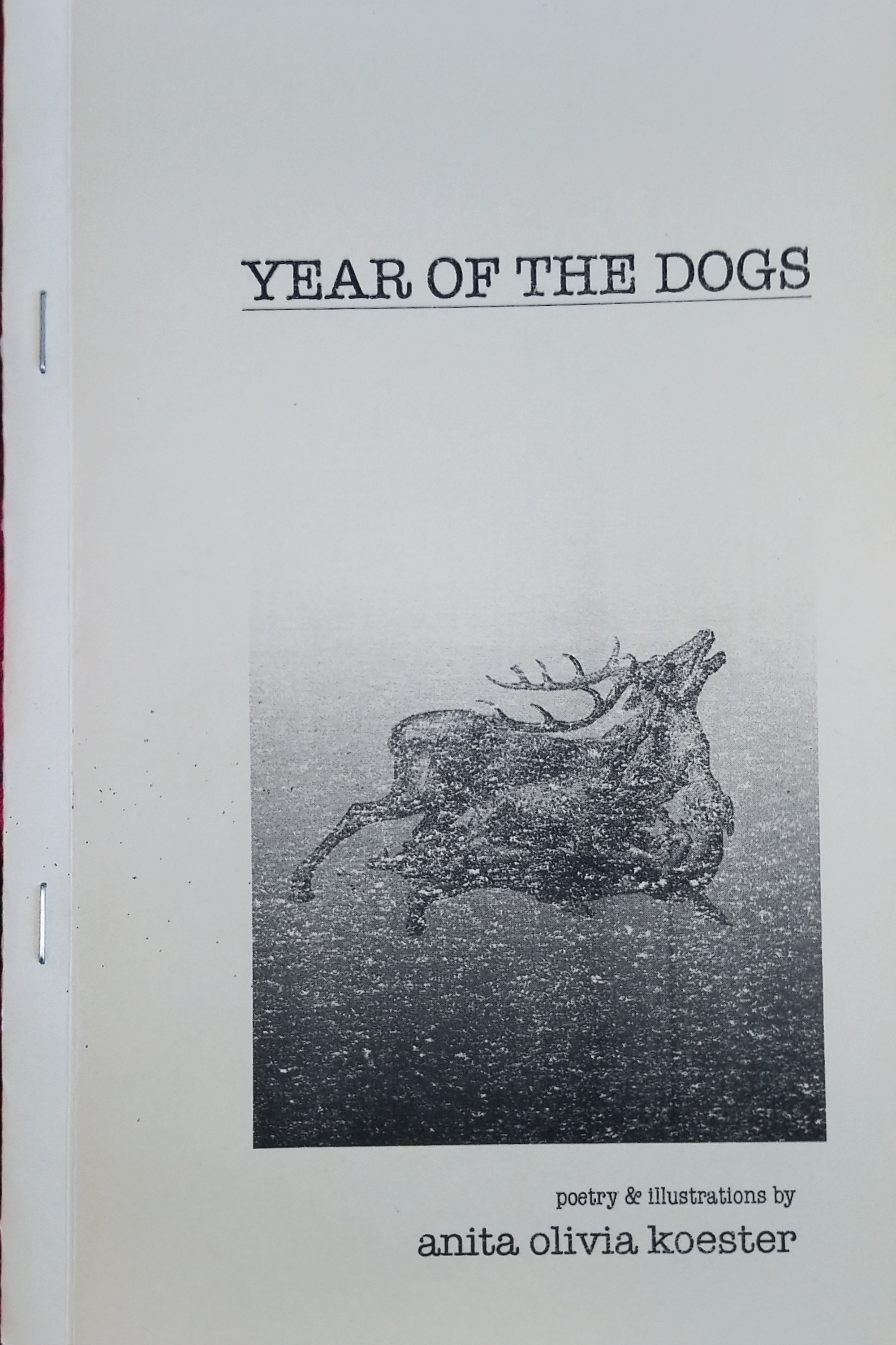 Year of the Dogs