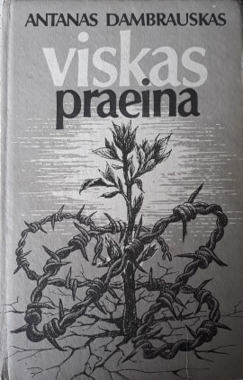 Viskas praeina (Hardcover)