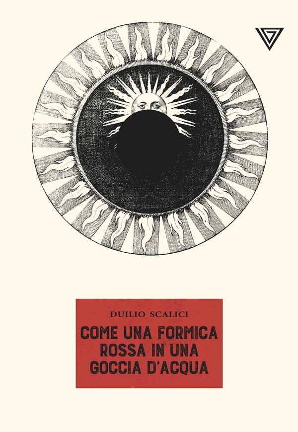 Come una formica rossa in una goccia d'acqua (Paperback)