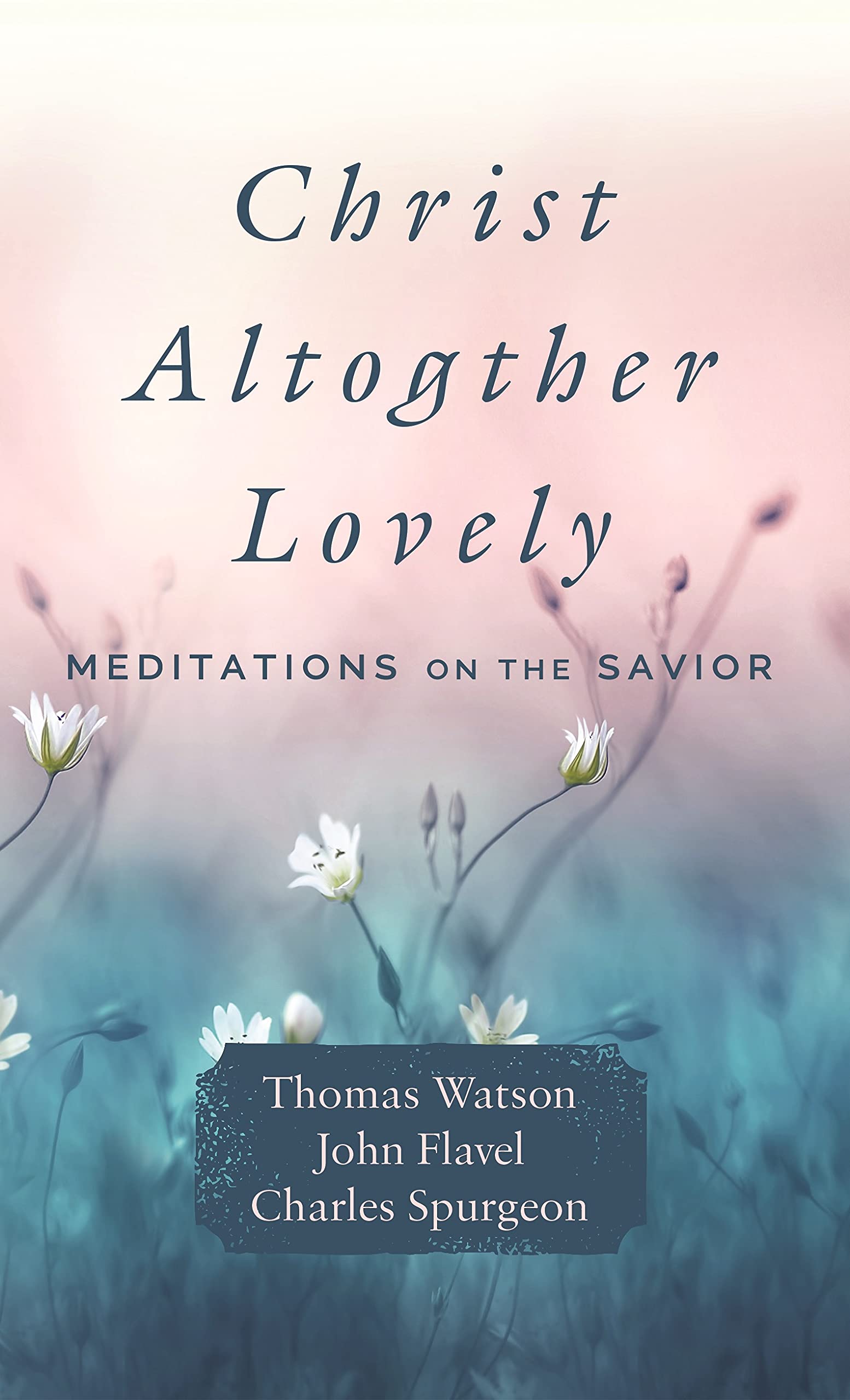Christ Altogether Lovely: Meditations on the Savior (Kindle Edition)