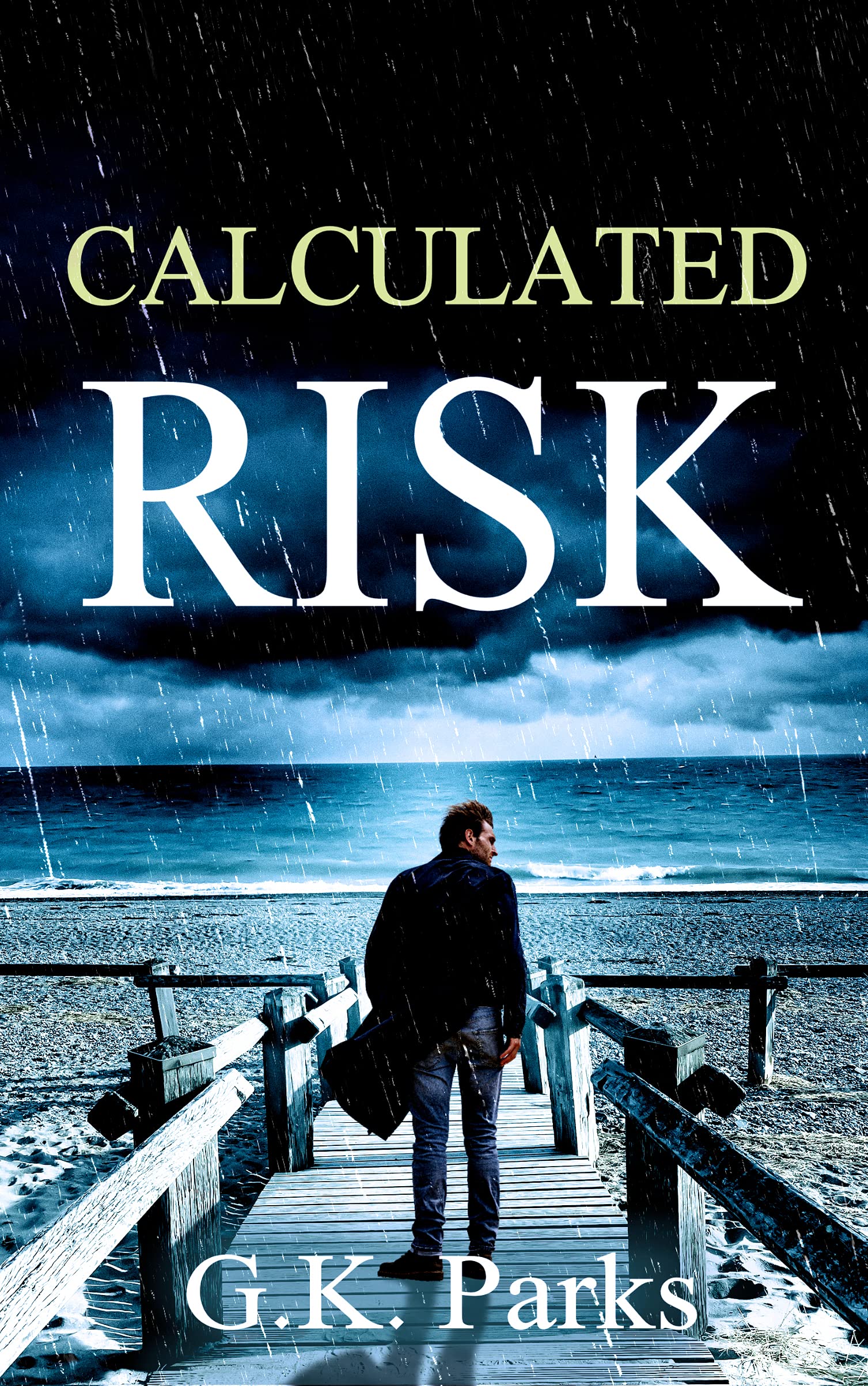 Calculated Risk (Cross Security Investigation, #2)