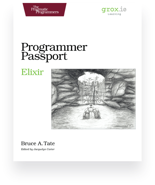 Programmer Passport: Elixir (ebook)