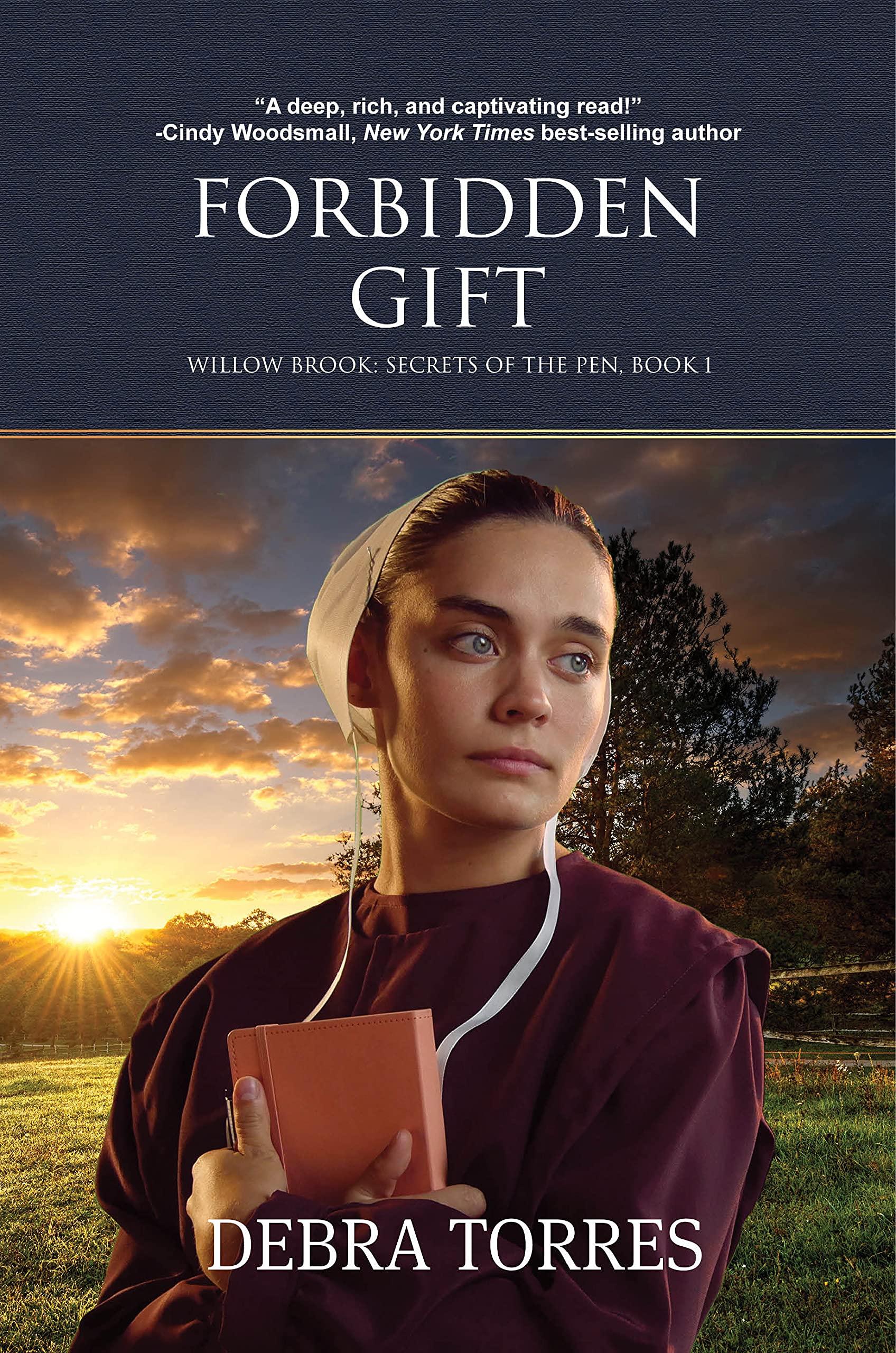 Forbidden Gift: An Amish Romantic Suspense Novel (Kindle Edition)