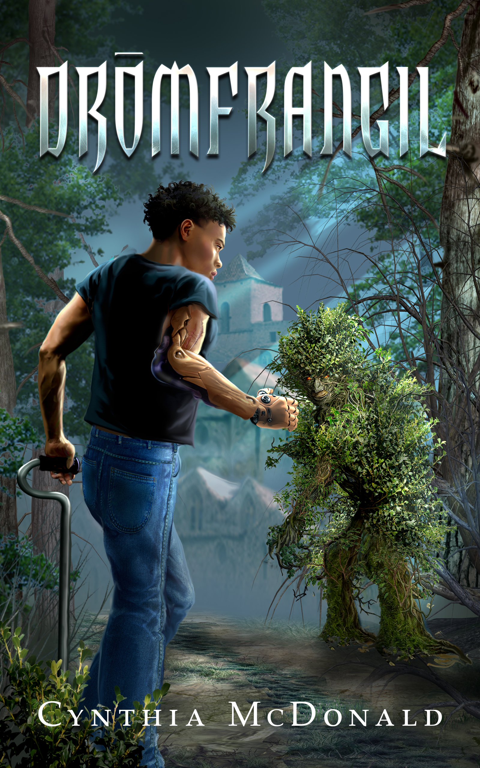 Drōmfrangil (Paperback)