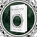 The Wyndshaper (The Ivenhence Chronicles, #1)