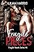 Fragile Pieces (Fragile Hearts Series)
