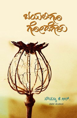 ಬಯಲಿಗೂ ಗೋಡೆಗಳು