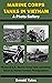 Marine Corps Tanks in Vietnam by Donald Yates