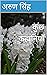 कुछ कहानियाँ / Some stories...