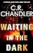 Waiting in the Dark (Specia...