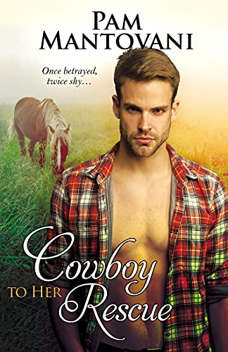 Cowboy To Her Rescue (Cowboys of Burton Springs, #3)