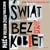 Świat bez kobiet. Płeć w polskim życiu publicznym