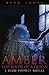 Amber: Birth of a Queen: A ...