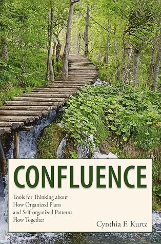 Confluence: Tools for Thinking about How Organized Plans and Self-organized Patterns Flow Together
