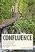 Confluence: Tools for Thinking about How Organized Plans and Self-organized Patterns Flow Together