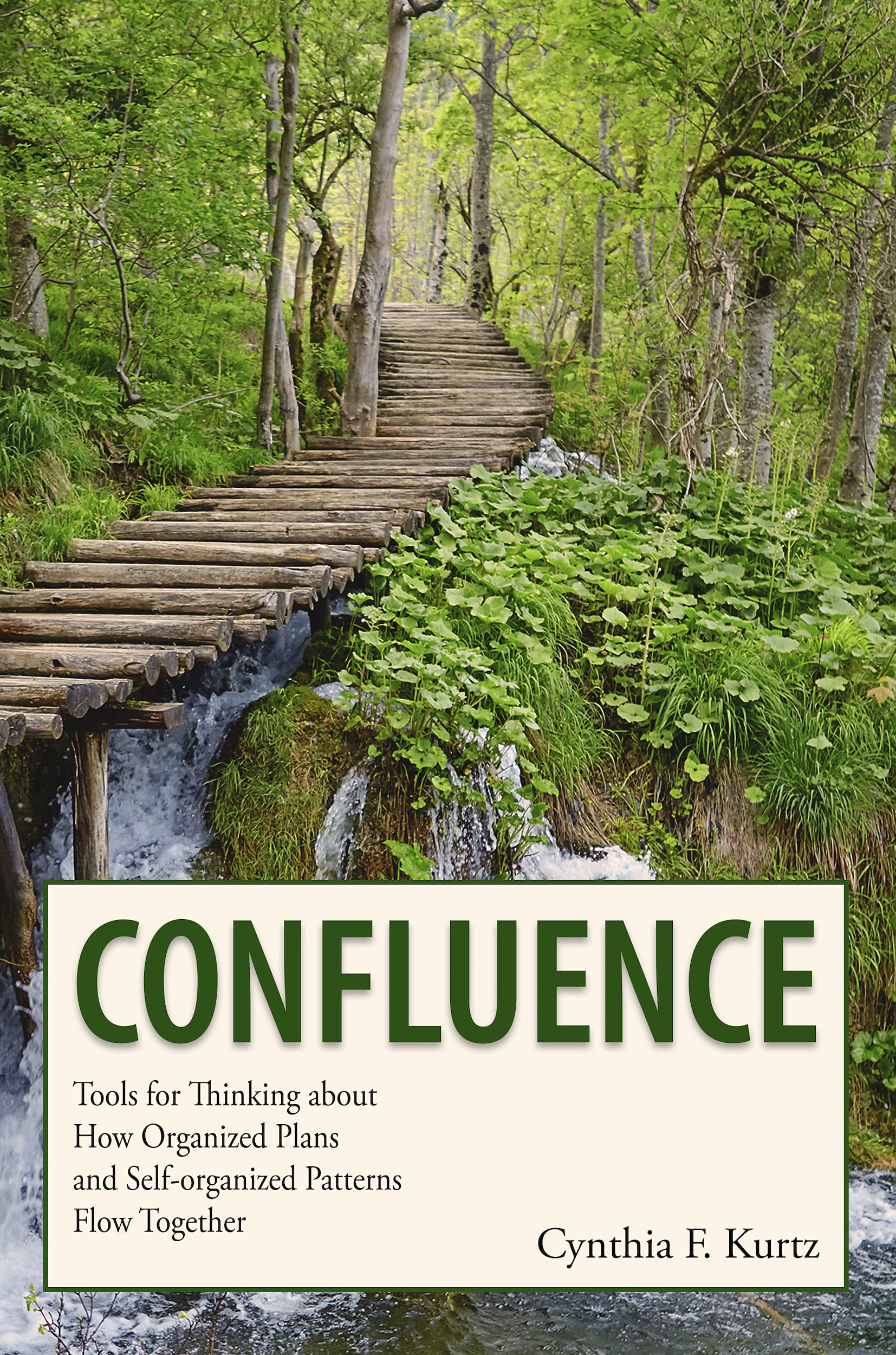 Confluence: Tools for Thinking about How Organized Plans and Self-organized Patterns Flow Together (Kindle Edition)