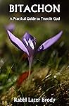 Bitachon: A Pract...