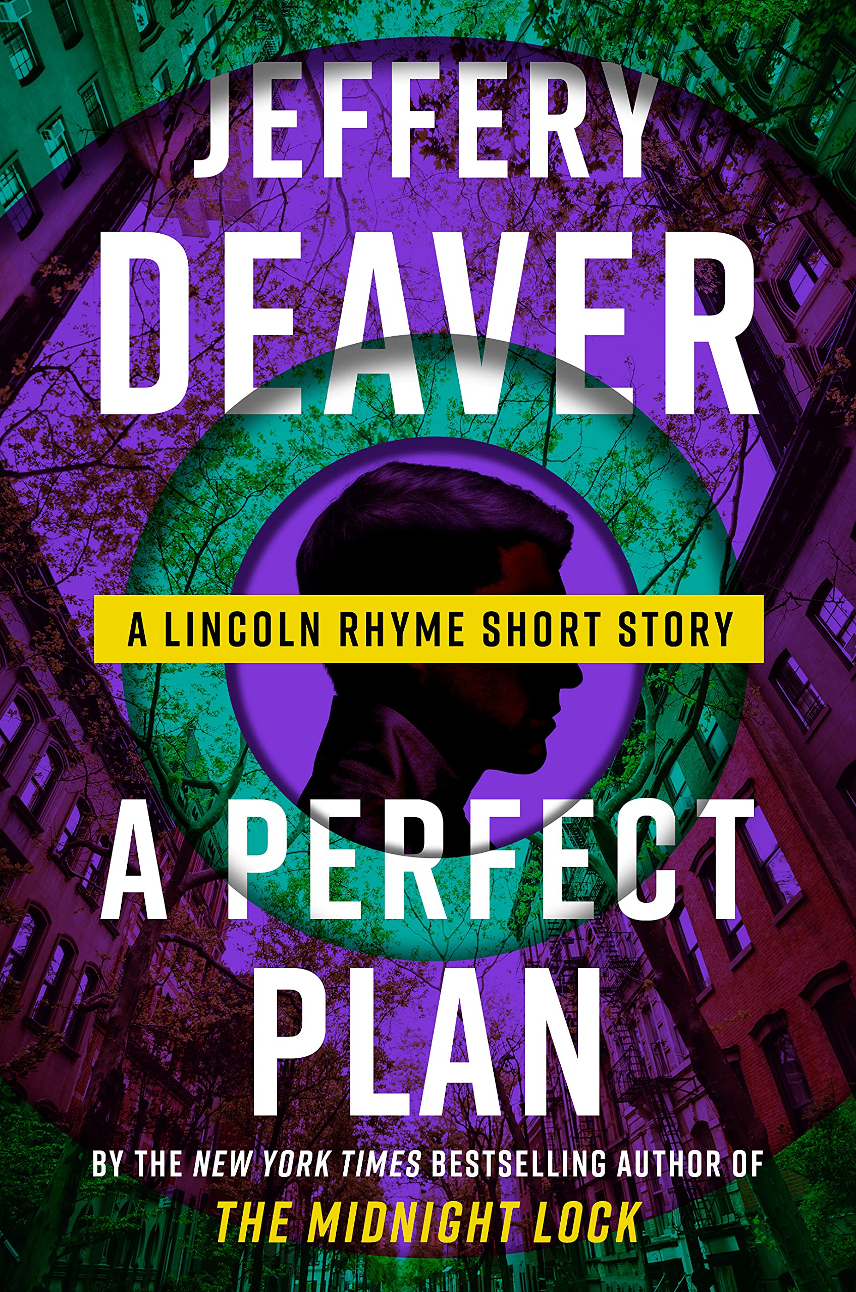 A Perfect Plan (Lincoln Rhyme #14.5)