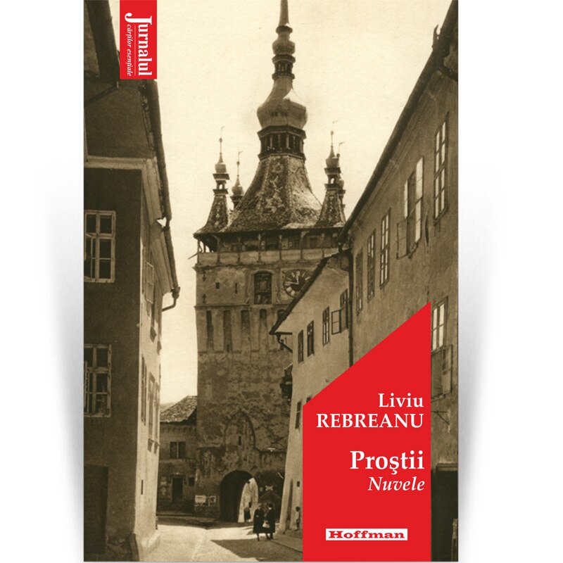 Proștii - Nuvele (Paperback)