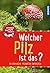 Welcher Pilz ist das? Kinde...