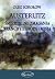 Austerlitz. Śmiertelne zmagania Francji z Europą i Rosją