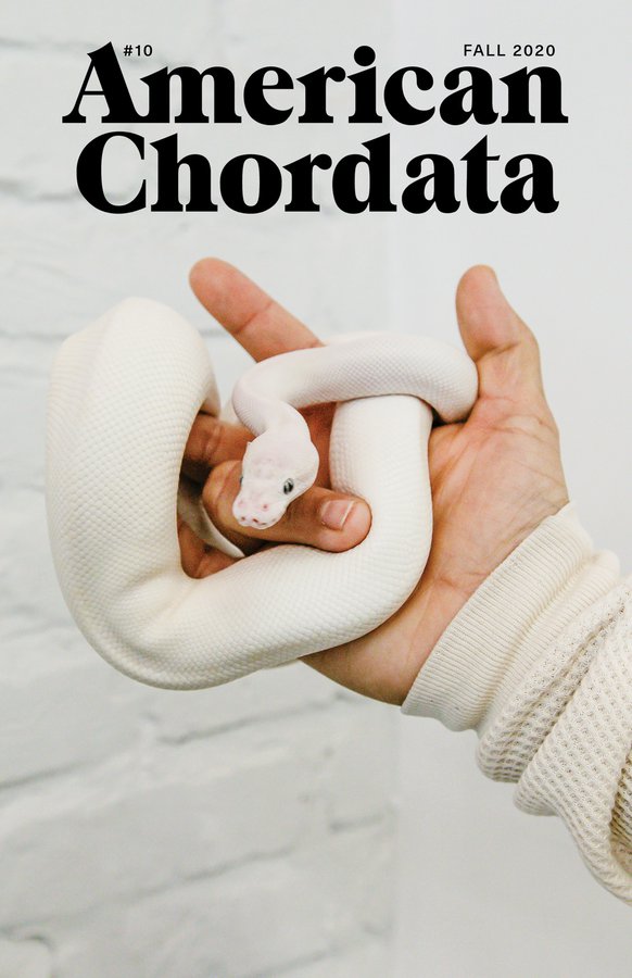 American Chordata Issue 10