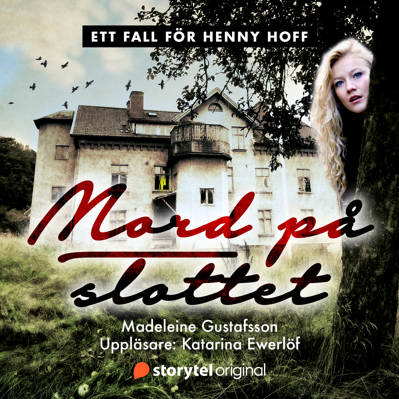 Mord på slottet (Ett fall för Henny Hoff, #1)