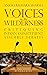 Voices In The Wilderness: Critiquing Indian Constituent Assembly Debates