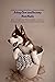 Taking Care and Training Your Husky by Ethan Howell