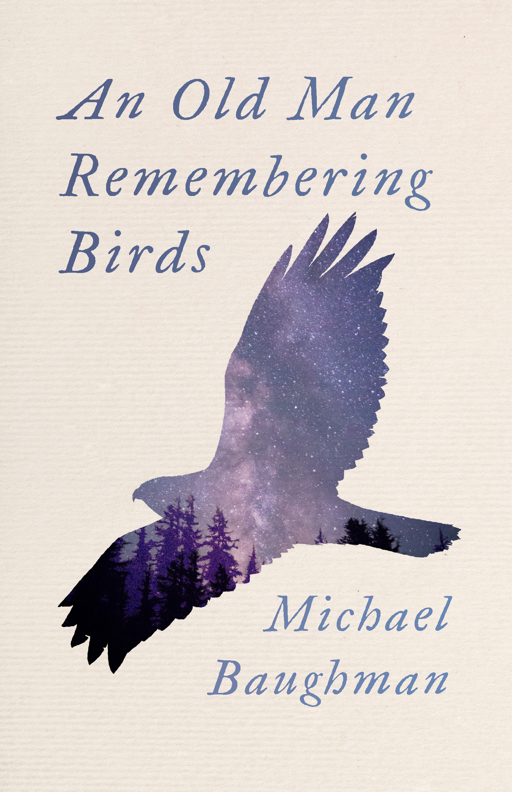 An Old Man Remembering Birds (Paperback)