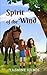 Spirit of the Wind