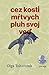 Cez kosti mŕtvych pluh svoj veď by Olga Tokarczuk
