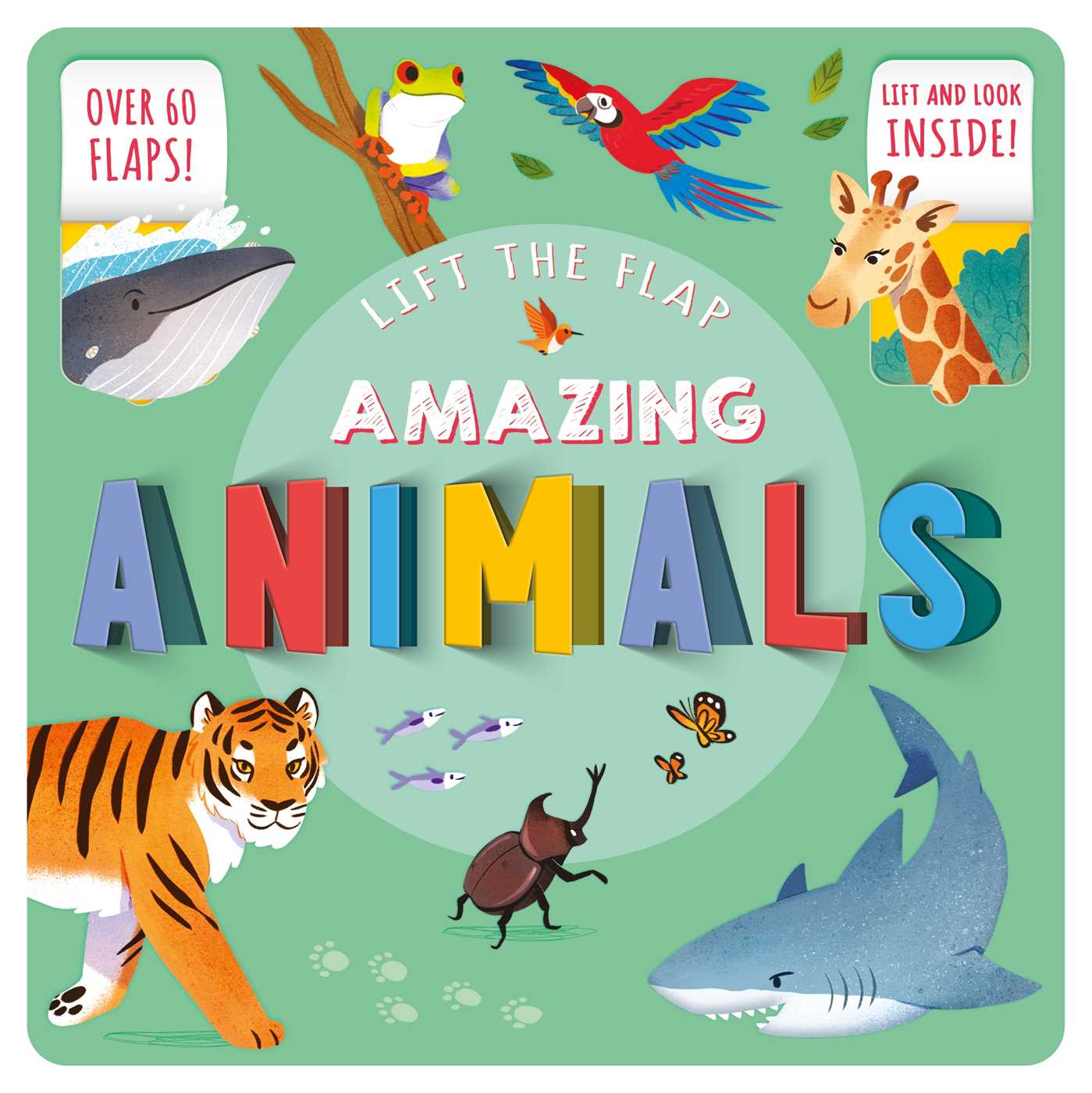 Amazing Animals: Lift-the-Flap Fact Book (Board Book)
