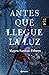 Antes que llegue la luz