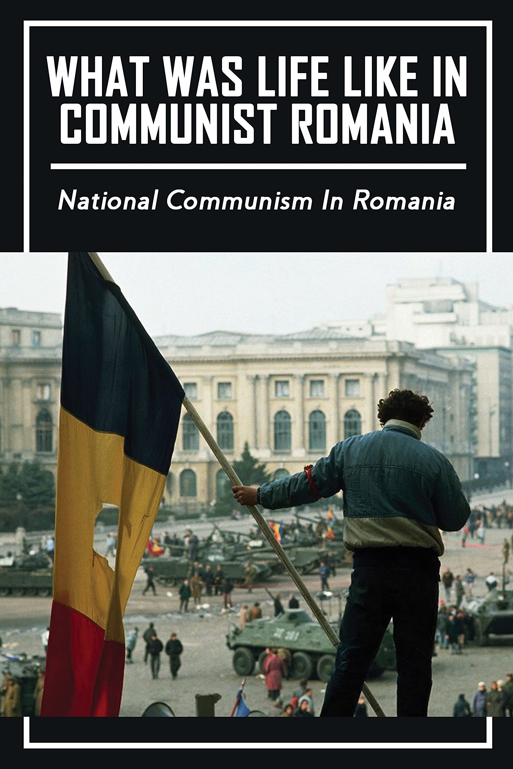 What Was Life Like In Communist Romania: National Communism In Romania: Clandestine Histories (Kindle Edition)