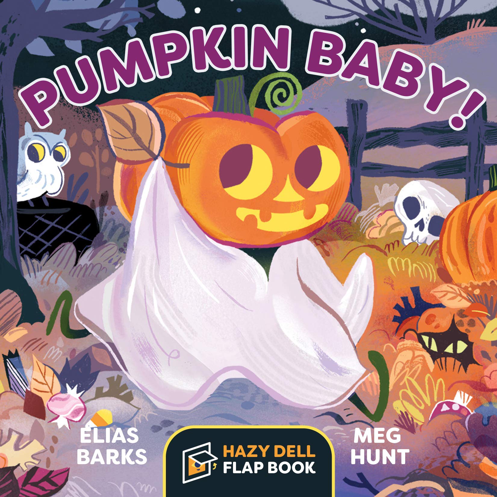 Pumpkin Baby!: A Hazy Dell Flap Book (Board book)