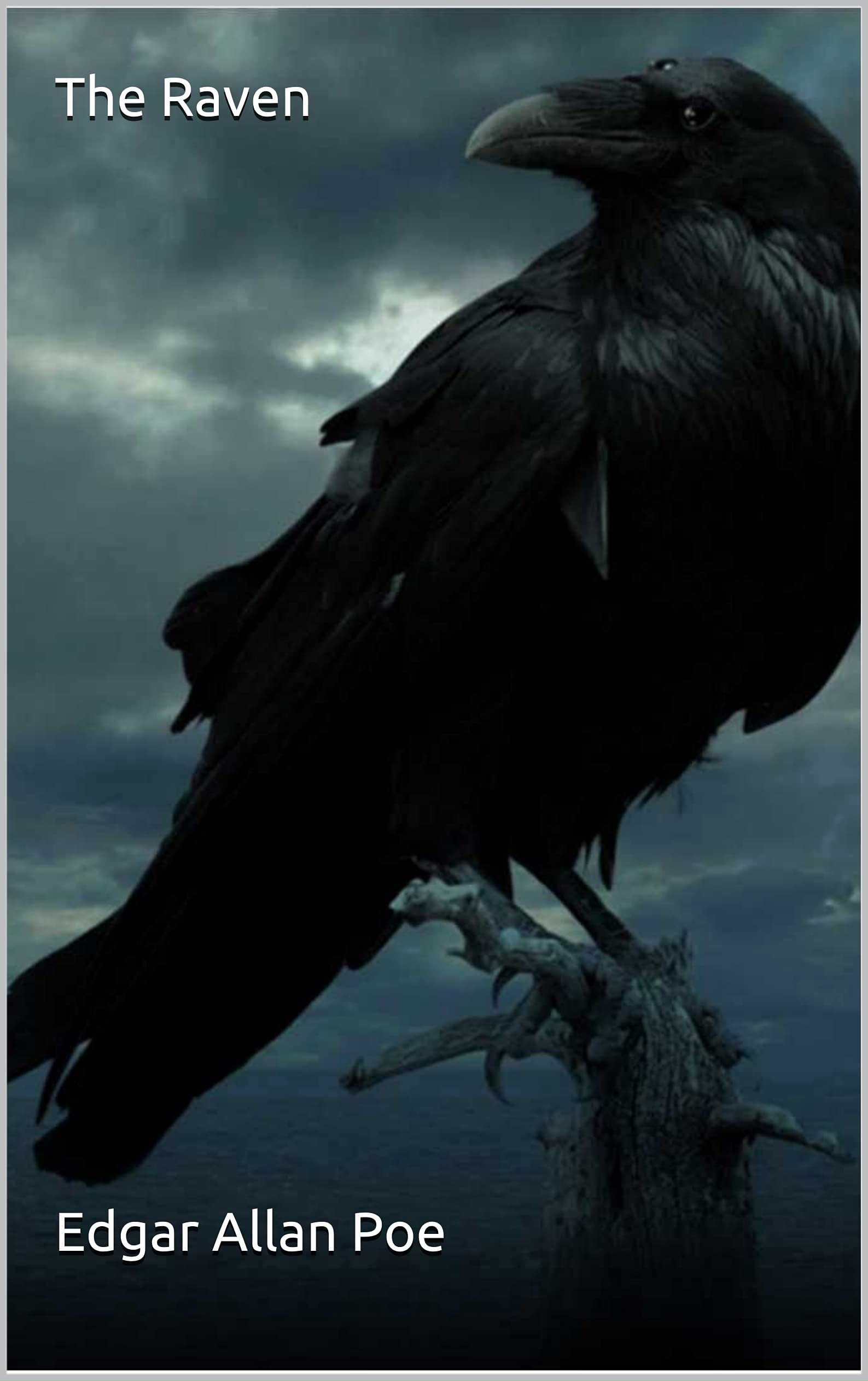 The Raven