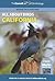 All About Birds California