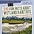 20 Fun Facts About Wetland Habitats (Fun Fact File: Habitats)