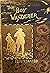 The Boy Wanderer: Or No Rel...
