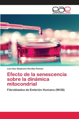 Efecto de la senescencia sobre la dinámica mitocondrial: Fibroblastos de Embrión Humano (WI38) (Spanish Edition)